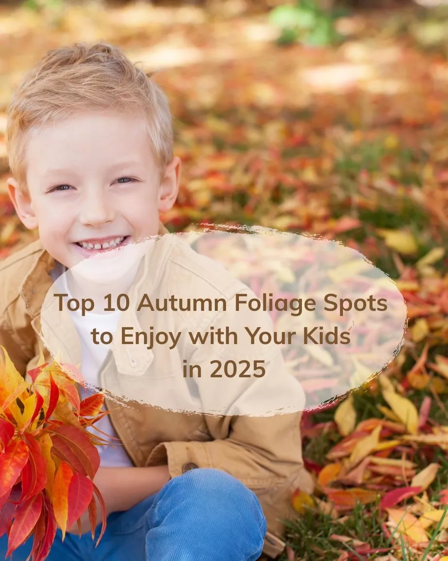 Top 10 Autumn Foliage Spots to Enjoy with Your Kids in 2025