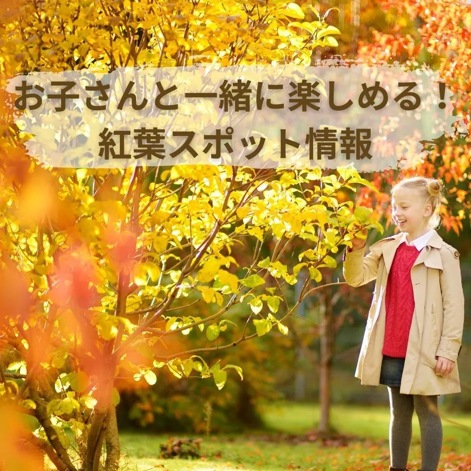 ケアファインダー:ベビーシッターとお子さんも一緒に楽しめる!紅葉スポット情報