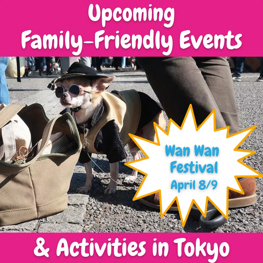 Photo of a small dog in costume with text that reads upcoming family-friendly events and activities in tokyo