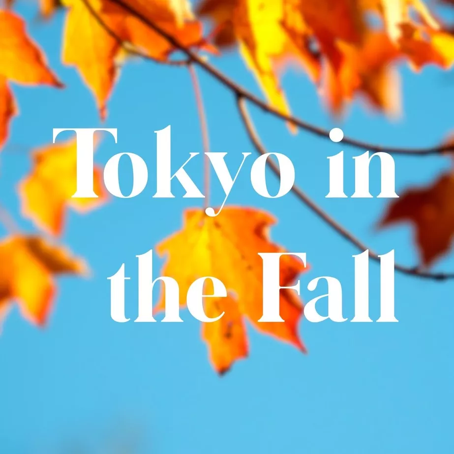 tokyo in the fall : fun for the whole family