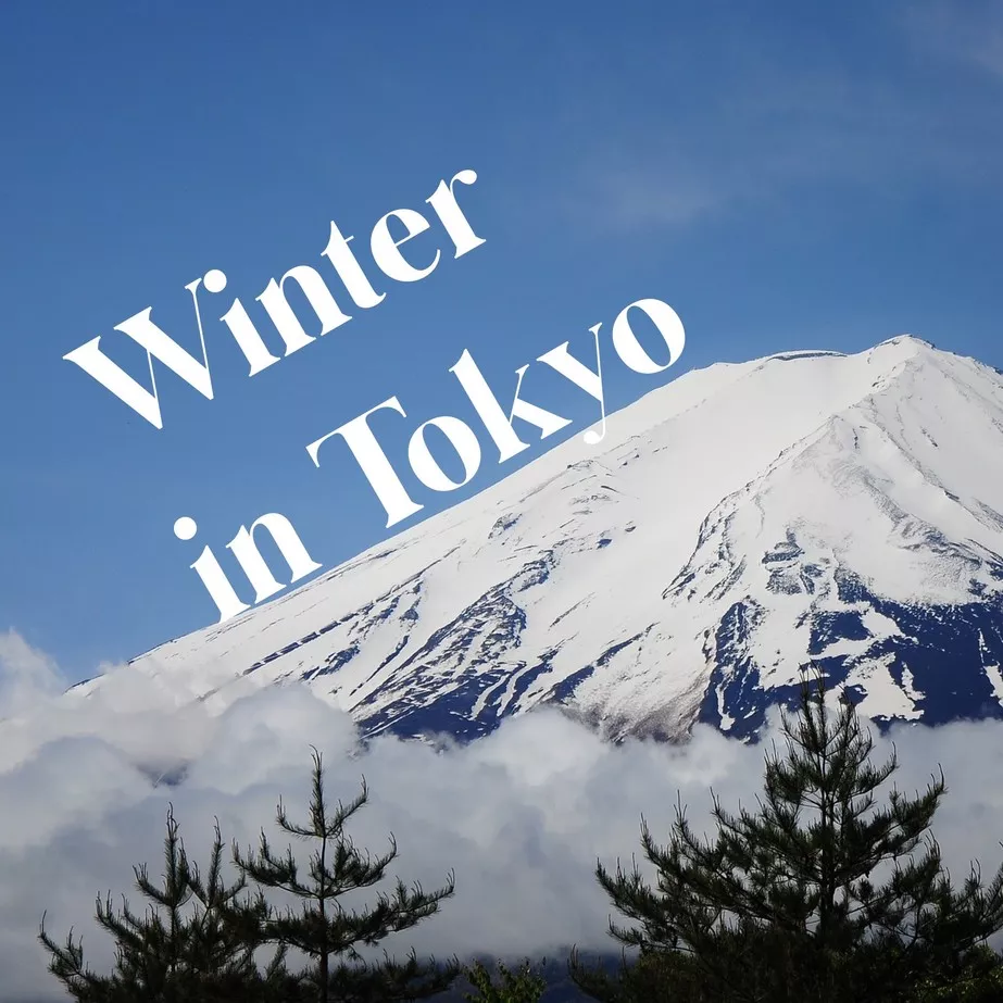 Winter in Tokyo