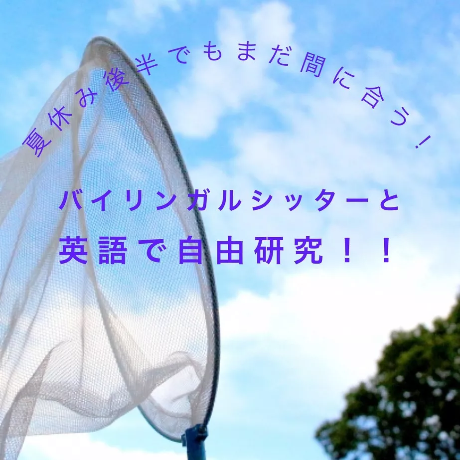 夏休み　後半　バイリンガルシッター　英語　自由研究