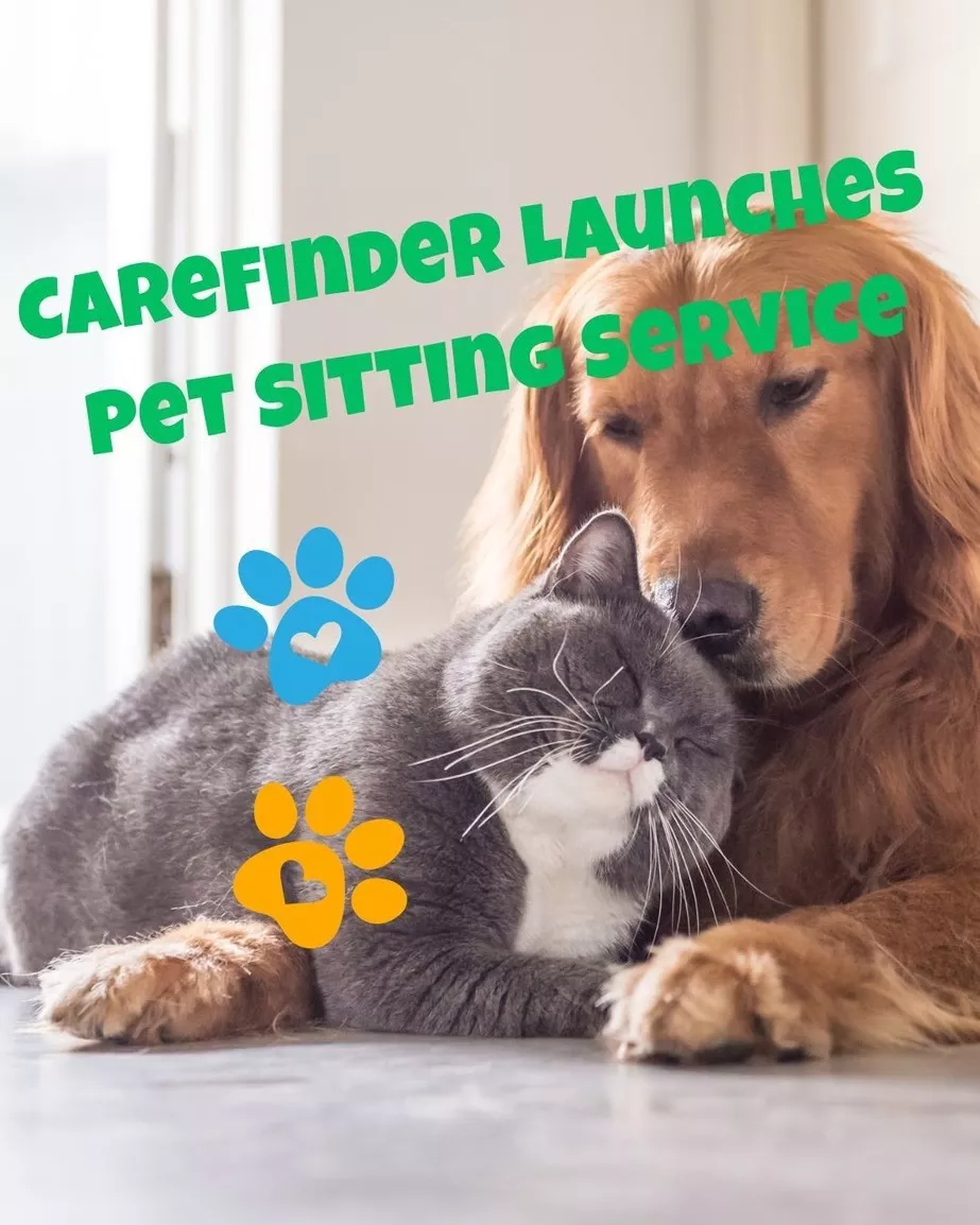 Pet sitter Japan