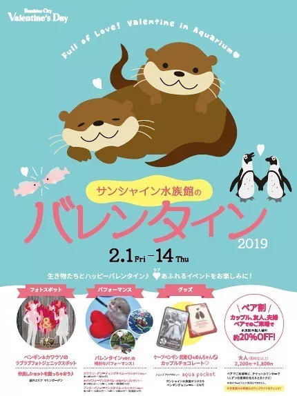 Sunshine Aquarium's Valentine's