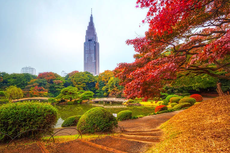 FallDateIdeas 3