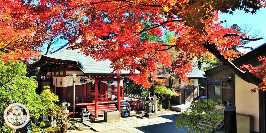 Mt. Takao Momiji Festival