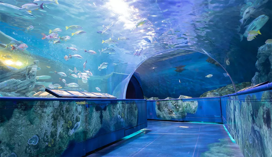 Shinagawa Aquarium