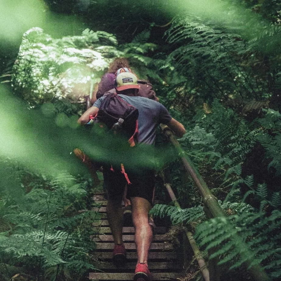 hiking around tokyo