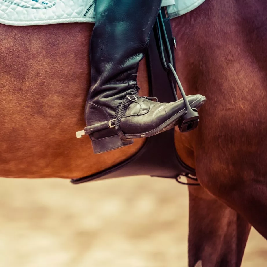 horseback riding in tokyo