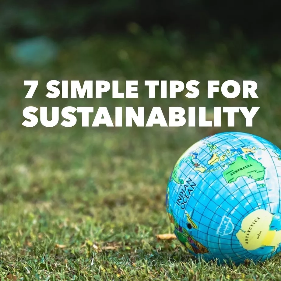 sustainability tips for your family 