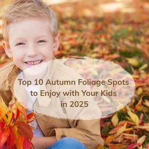 Top 10 Autumn Foliage Spots to Enjoy with Your Kids in 2025