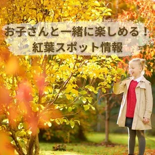 ケアファインダー：ベビーシッターとお子さんも一緒に楽しめる！紅葉スポット情報