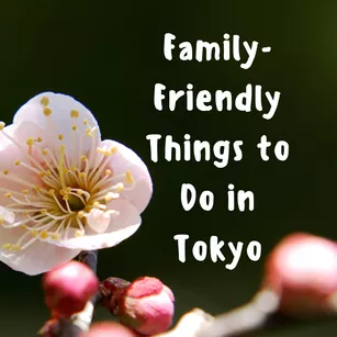 close up of a light pink ume blossom with white text that reads "family-friendly things to do in tokyo"