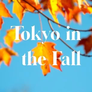tokyo in the fall : fun for the whole family