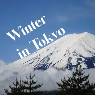 Winter in Tokyo