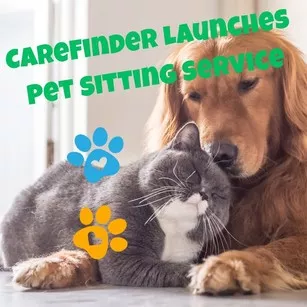 Pet sitter Japan