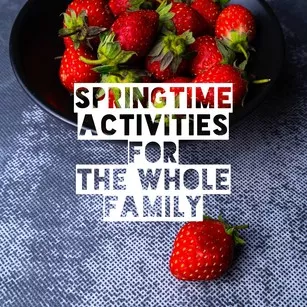 springtime activities in tokyo for the whole family