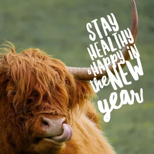 tips for staying healthy and happy in the new year